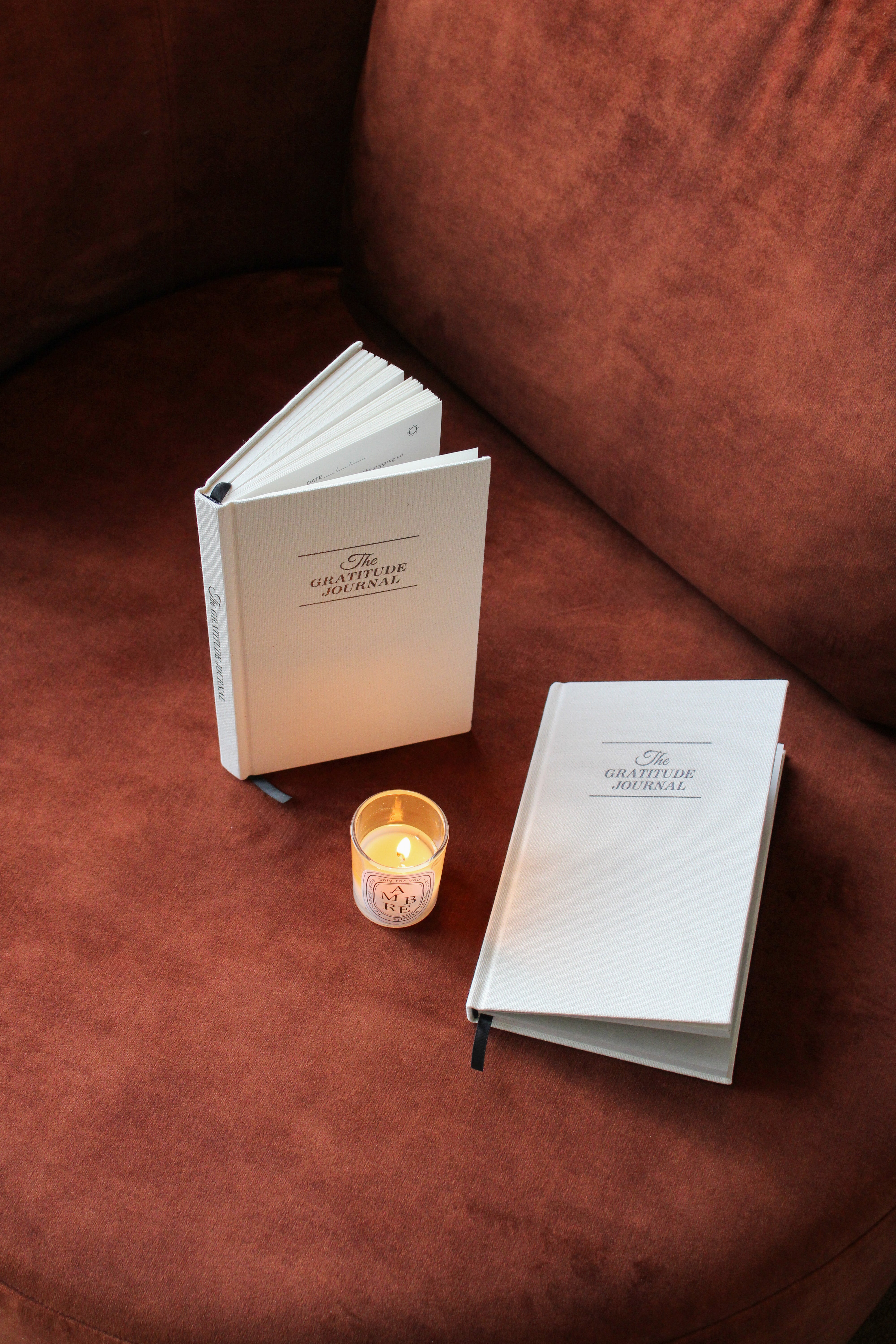 Gratitude Journal Wit